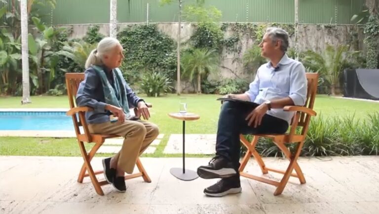Felipe Machado entrevista a ativista ambiental Jane Goodall na estreia do programa Pensata