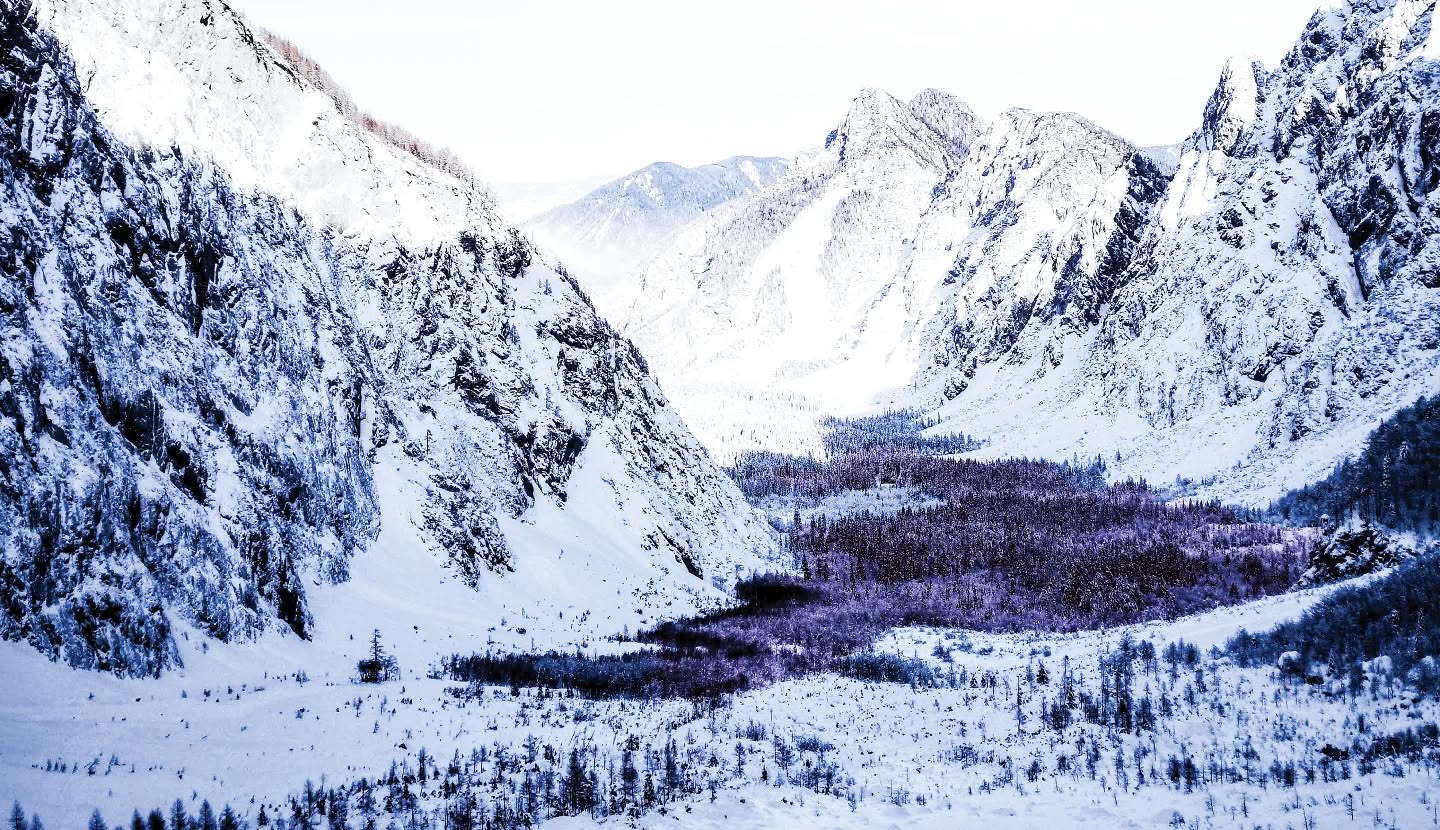 Bloodbark lança o enigmático álbum Sacred Sound of Solitude