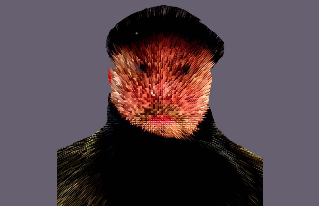 Grizzberg lança EP ‘A Wonder Through Time’